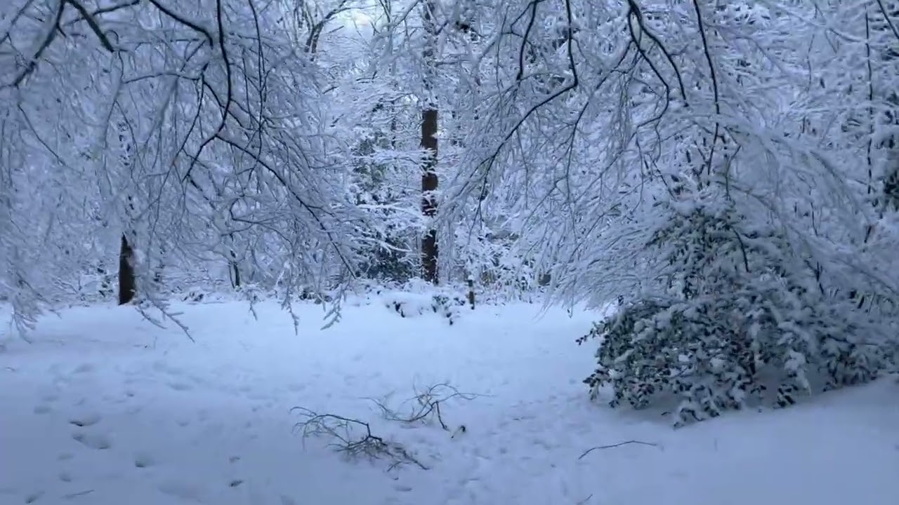 Sneeuw januari 2026 ☃️ - 