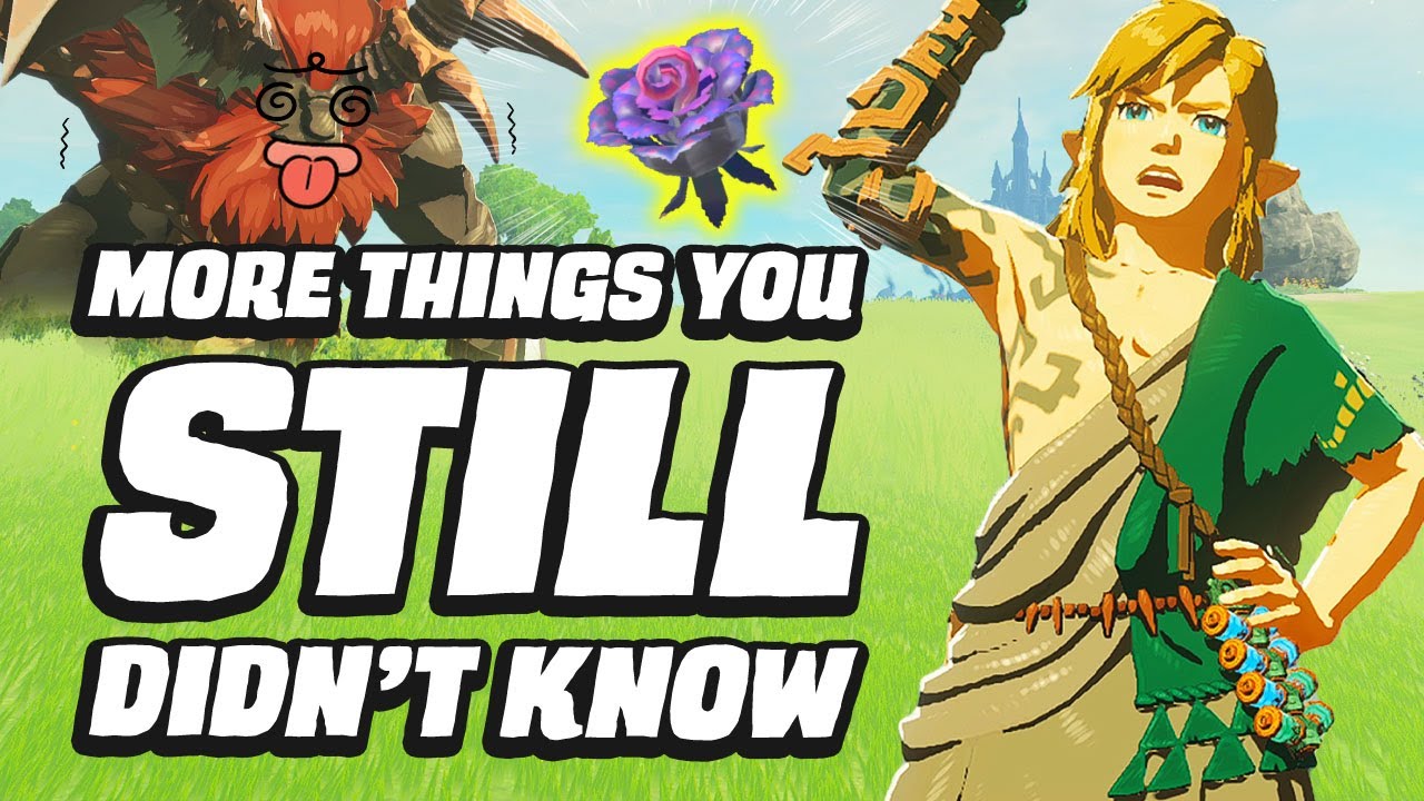 27 MORE Things You STILL Didn't Know In Zelda Tears Of The Kingdom