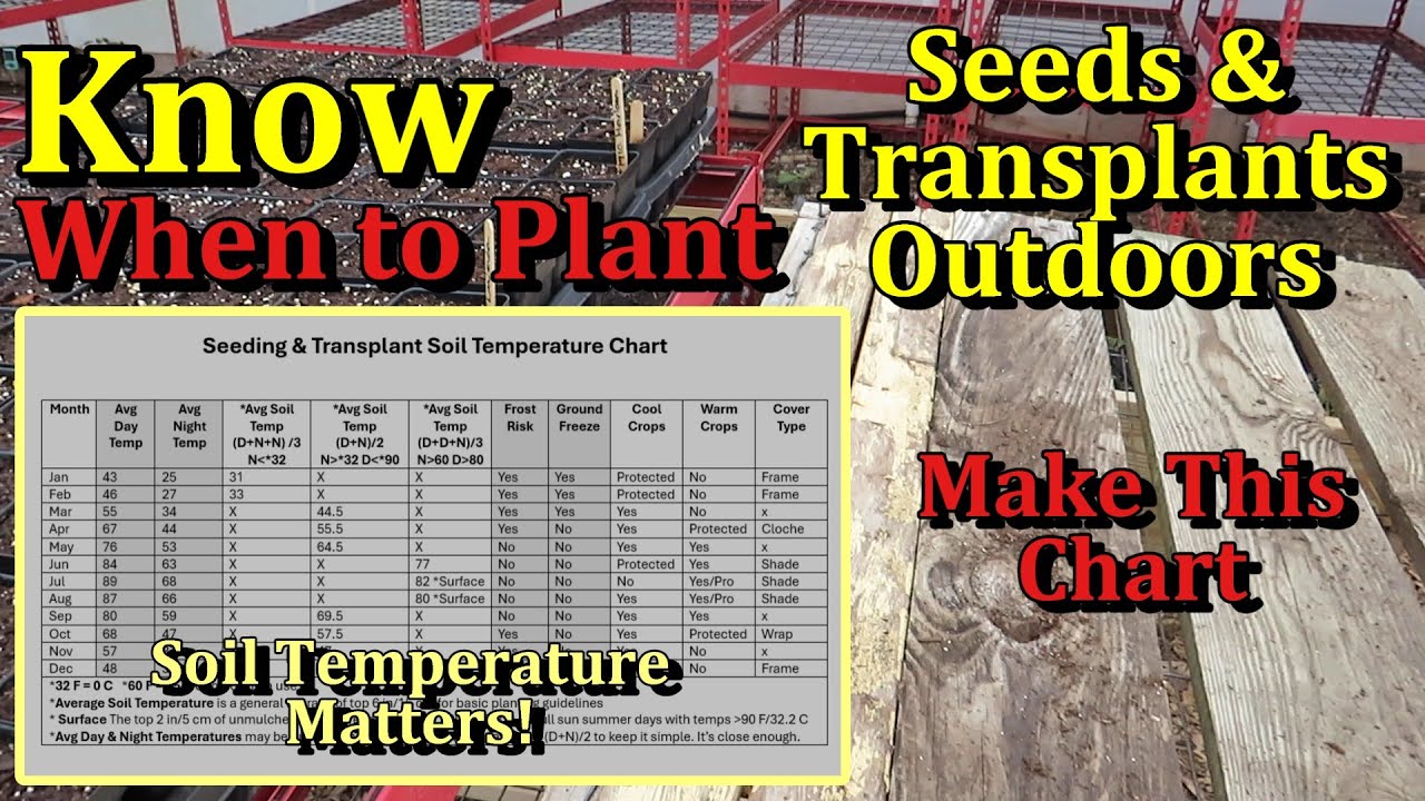 When to Start Vegetable Seeds Indoors & Transplant into the Garden (Make a Soil Temperature Chart)