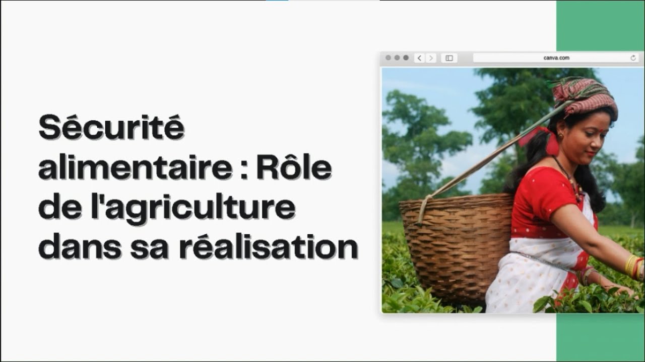 L'agriculture au service de la s&eacute;curit&eacute; alimentaire