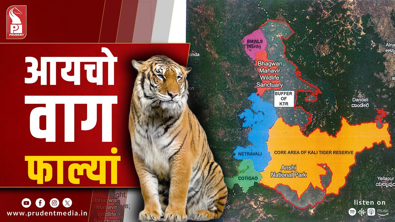 Goa Likely to 'Challenge' CEC's Tiger Reserve Proposal in Supreme Court