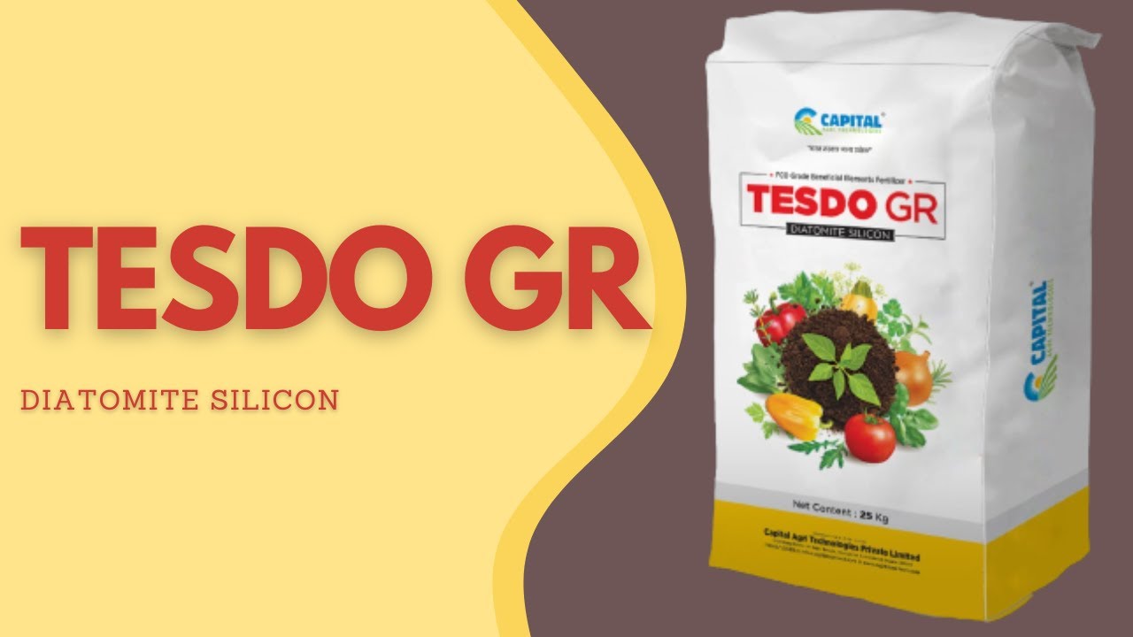 Tesdo GR (Diatomite Silicon)