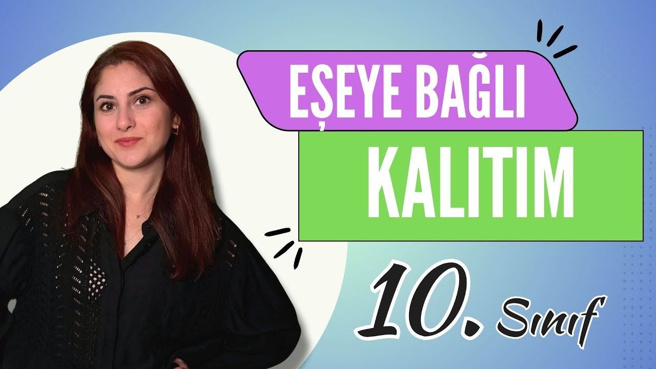 12) EŞEYE BAĞLI KALITIM - KALITIM 5 | 10. SINIF | TYT BİYOLOJİ DERS NOTLARI | 2024