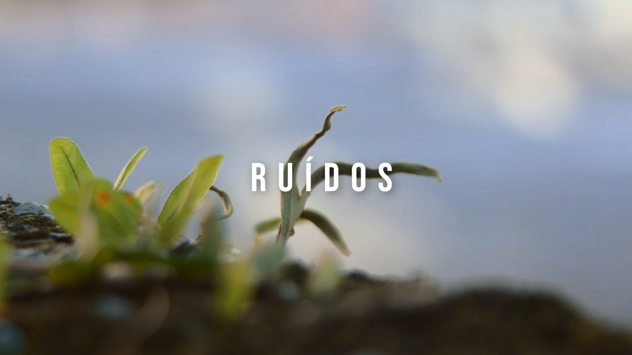 Ru&iacute;dos, 2025