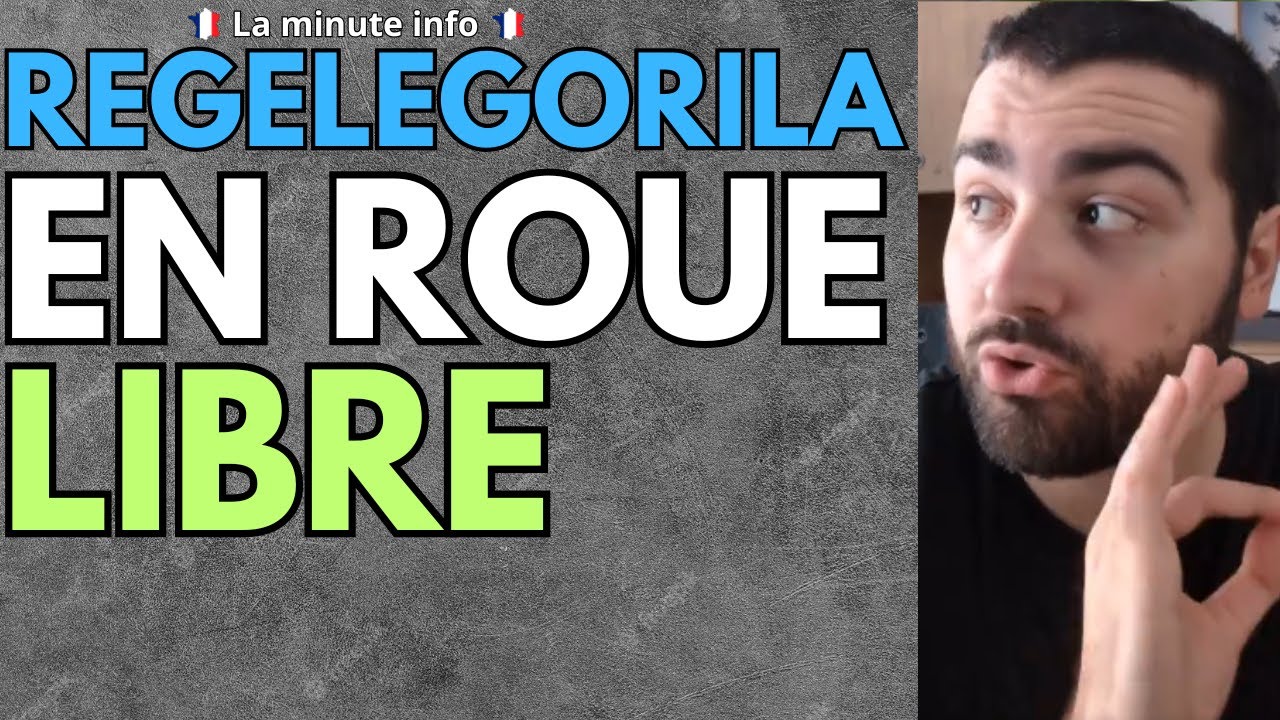 REGELEGORILA EN ROUE LIBRE , IL LUTTE CONTRE LES MÉCHANTS PAS BEAU QUI VOTENT POUR LE RN