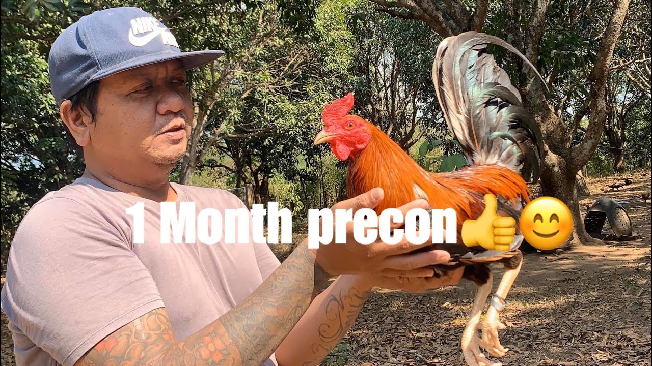 1 Month precon.