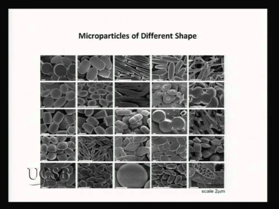 BioEngineering Insights 2009 - Drug Delivery Part 2