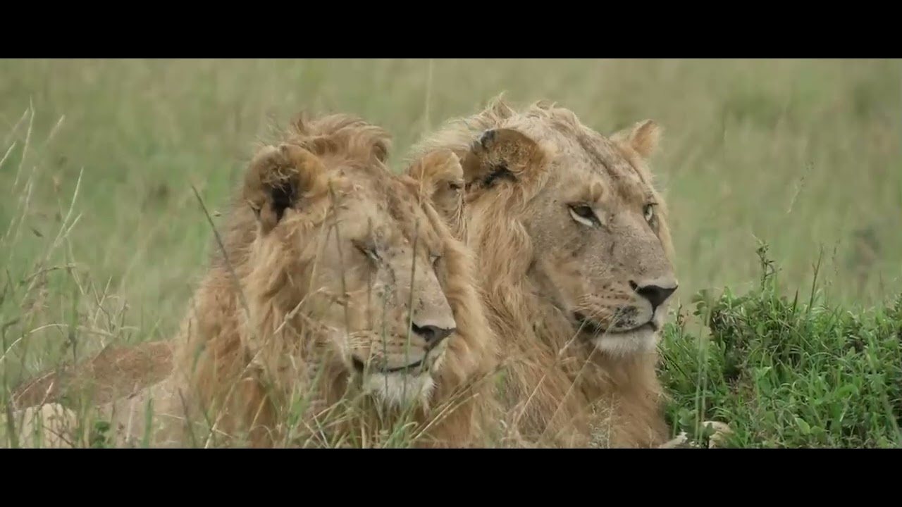Rongai Boys (R5)