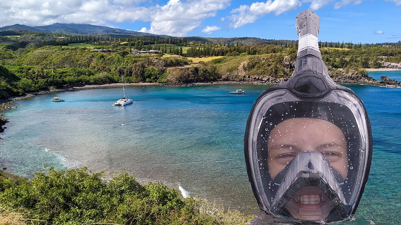 Snorkeling Honolua Bay: Best Snorkeling On Maui