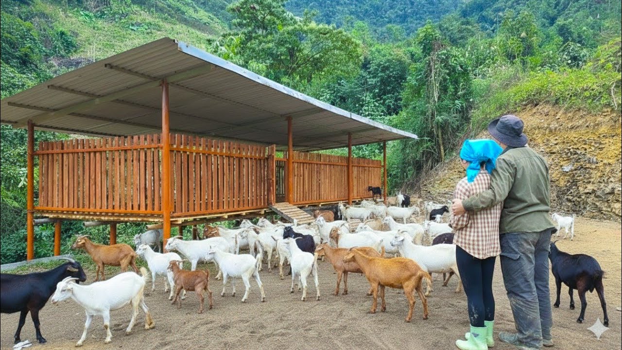 Finally finished: admiring the results of Phan & Chieu's goat shed construction project.