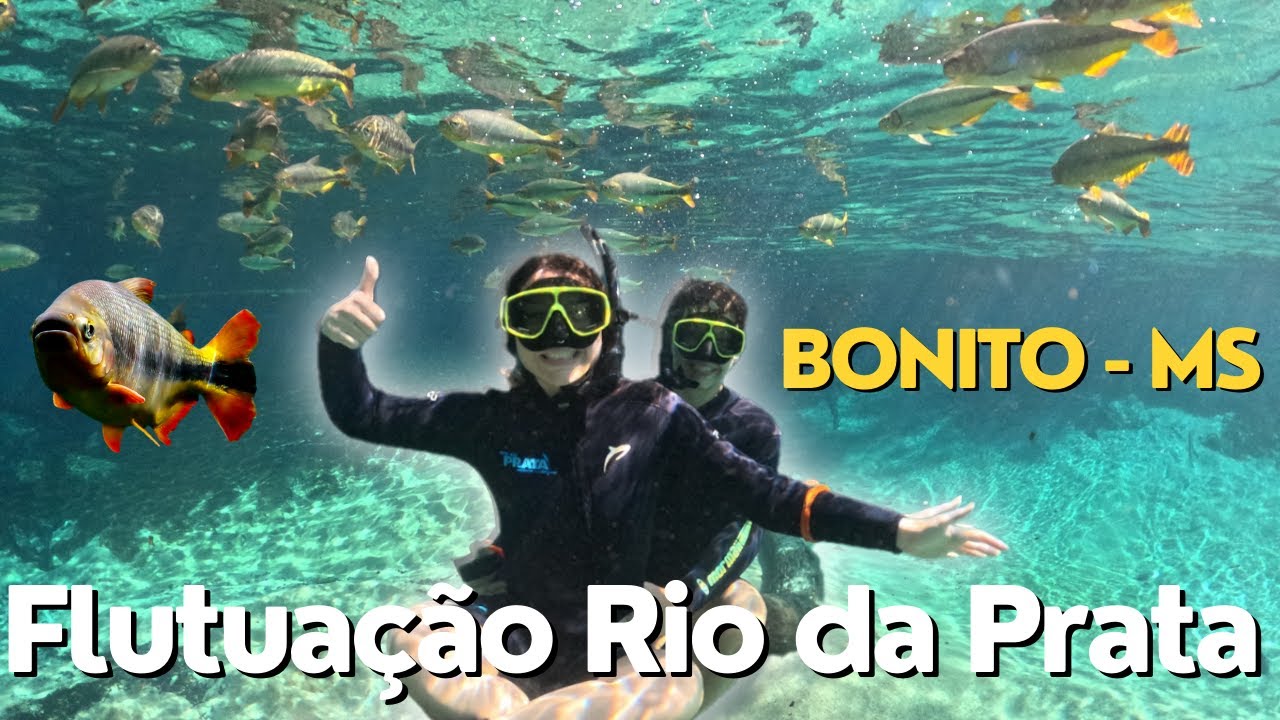 CONHEÇA A FLUTUAÇÃO NO RIO DA PRATA BONITO - MS | EP.05 4K