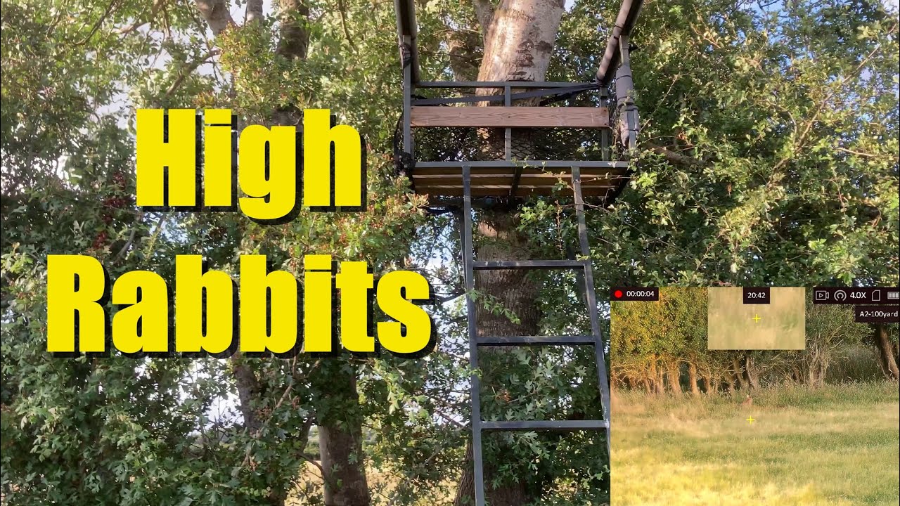 HIGH SEAT PATROL.