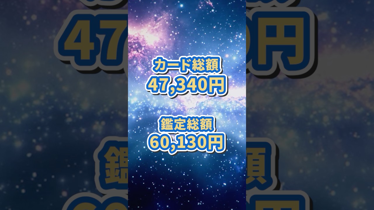 10万円かけて鑑定に出した結果は？