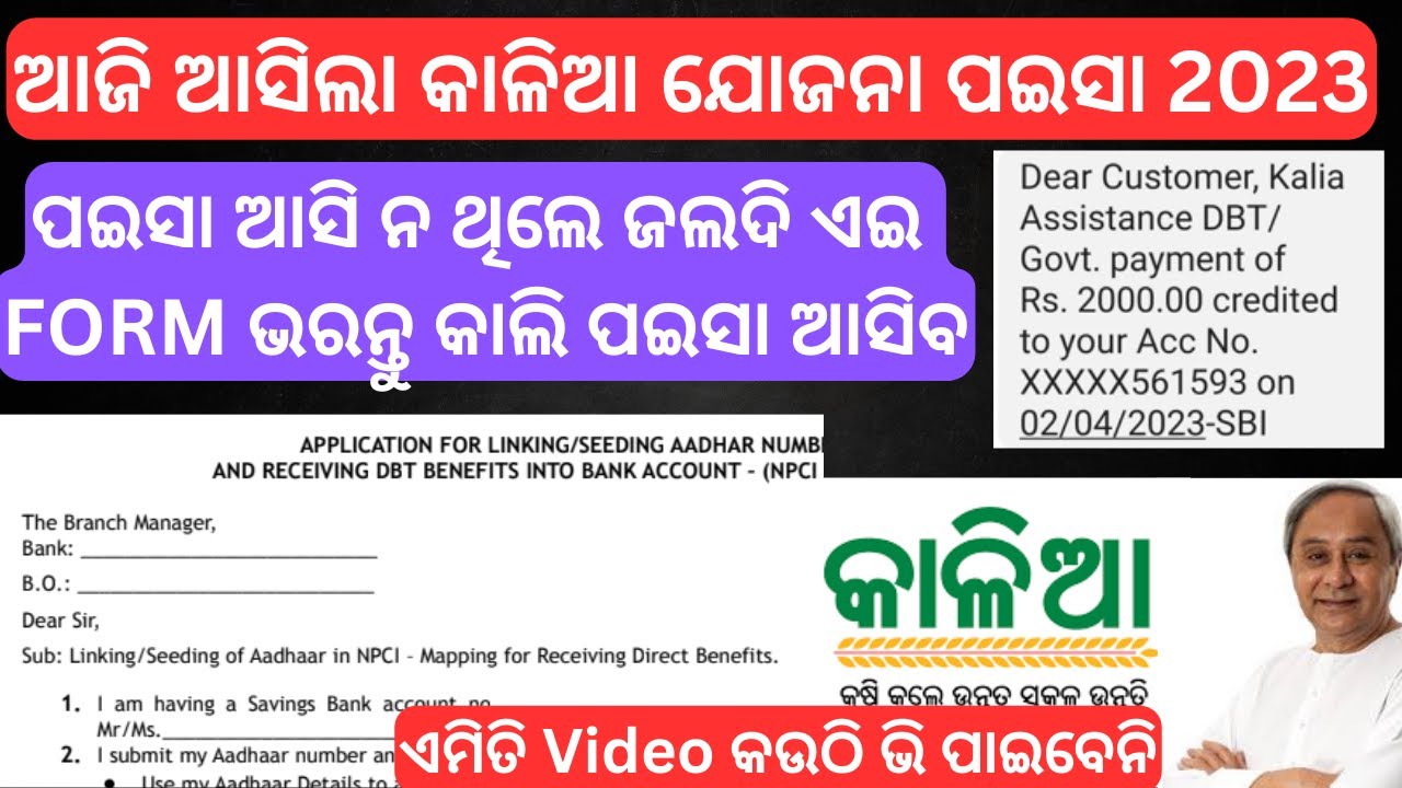 Kaliya Yojna Money not received in Bank Account 2023 ! Kaliya Yojana Instalment not Credited 2023