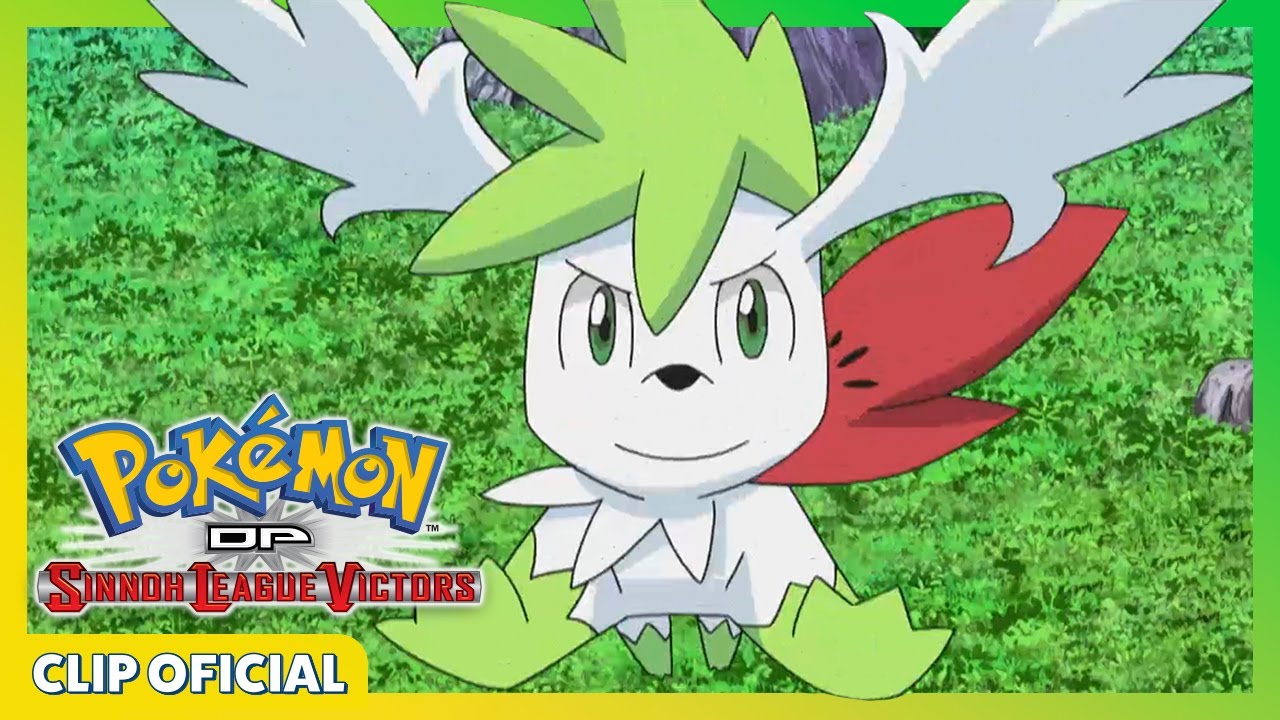 ¡Shaymin se transforma! | Pokémon: DP Los vencedores de la Liga de Sinnoh | Clip oficial