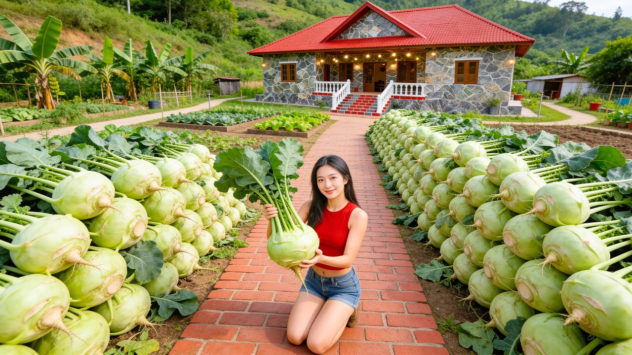 Harvesting Kohlrabi After 365 Days of Building a Dream Farm | Vegetable Planting & Livestock Care
