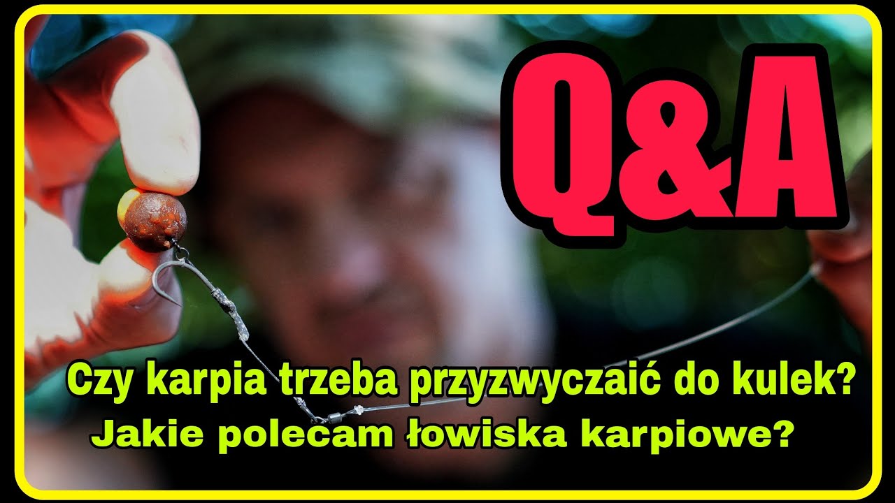 QA #12 - Czy karpia trzeba przyzwyczajać do kulek ? Jakie polecam łowiska ?