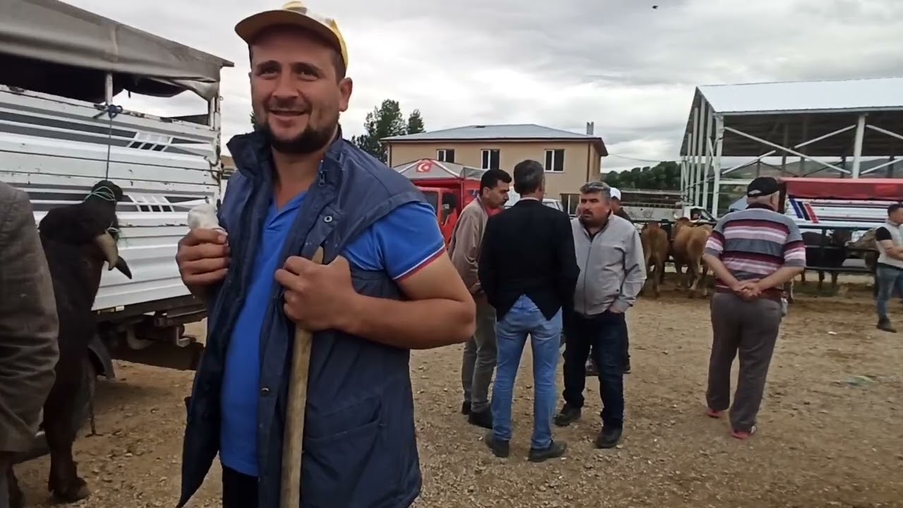 Sivas Suşehri hayvan pazarı/kurbanlık pazarlığı