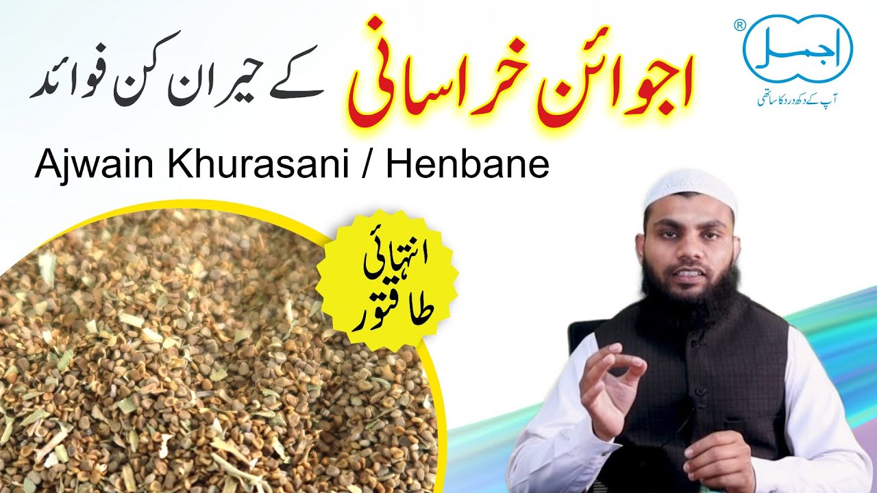 Ajwain Khurasani Ke Fayde | Henbane Benefits In Urdu | Herbal Painkiller
