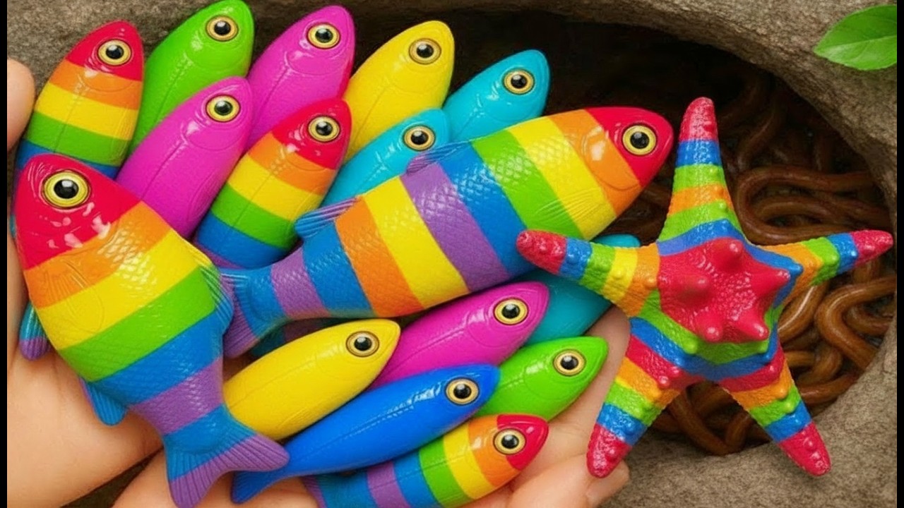 Catch Beautiful Aquarium Fish in Giant Colorful Egg, Baby Turtle, Molly Fish, Pencil Fish, Eel, Carp