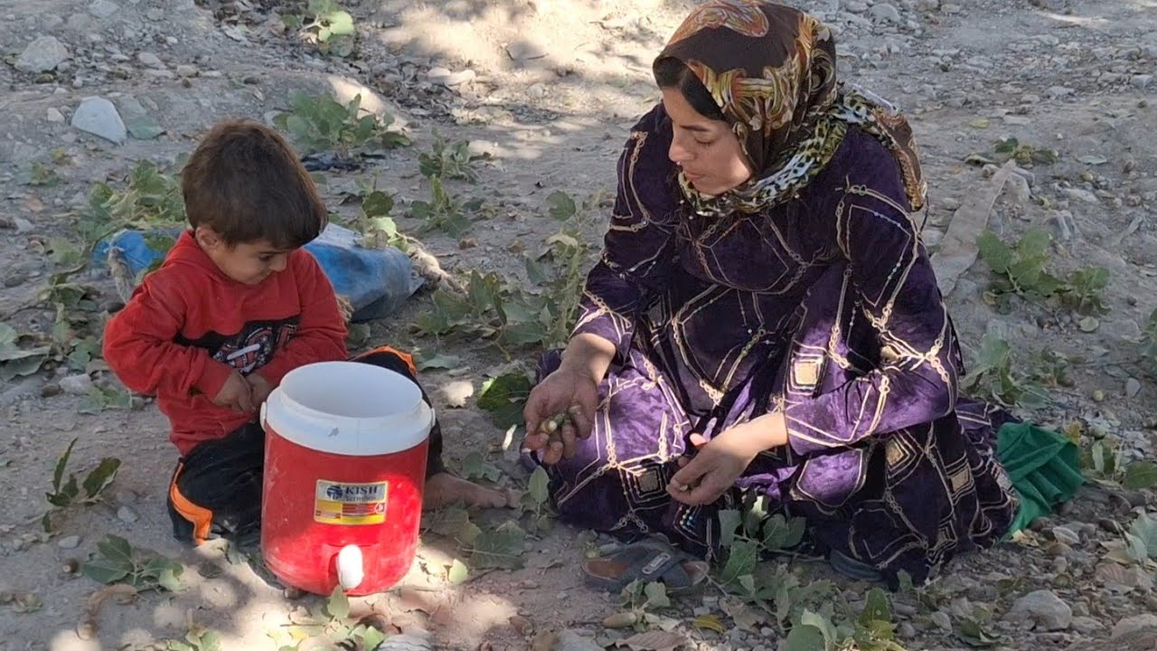 A story of life in the heart of harsh nature; Fatima and Ahura in search of an oak
