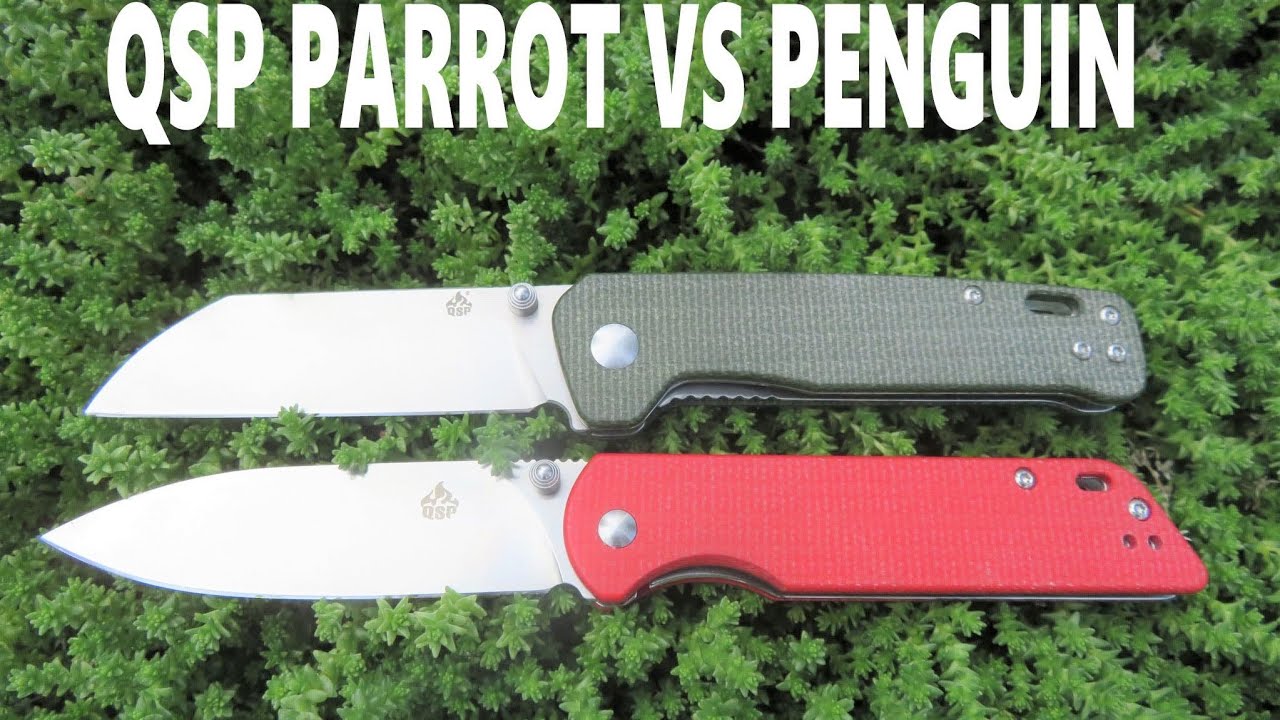 QSP PENGUIN VS PARROT : QSP KNIVE COMPARISON