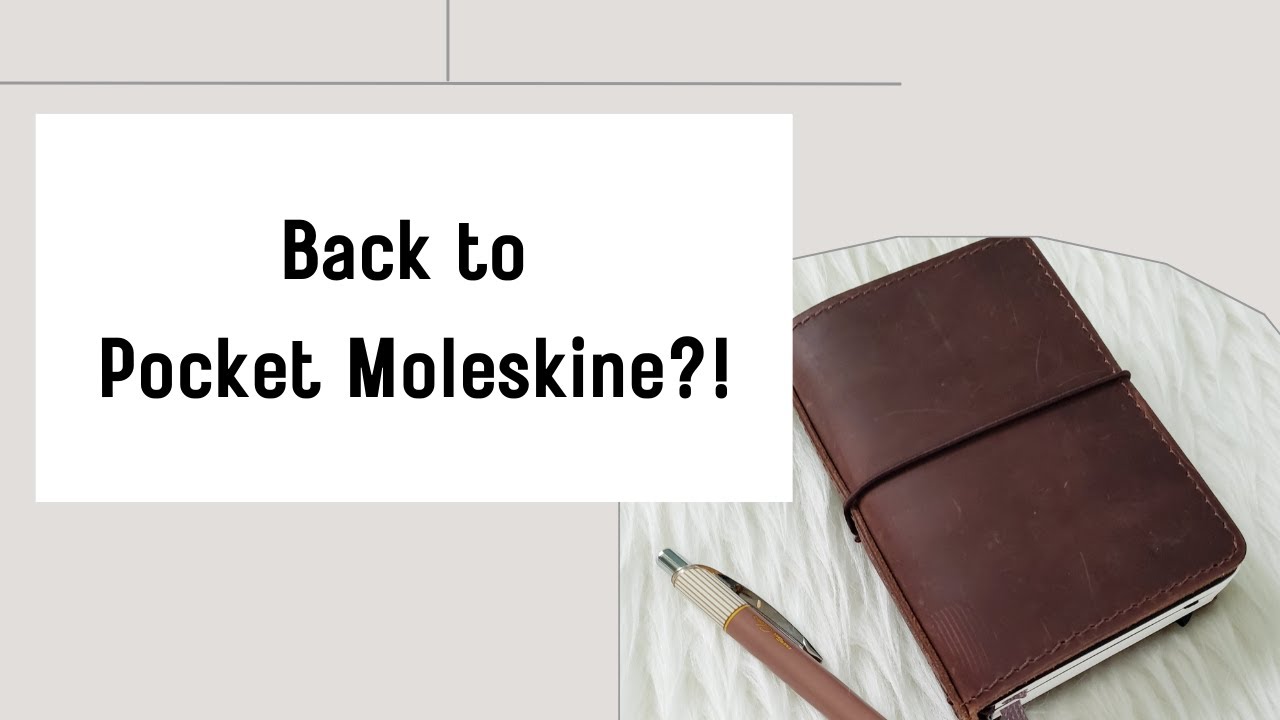 Back to Moleskine Pocket Daily Planner #moleskinedaily