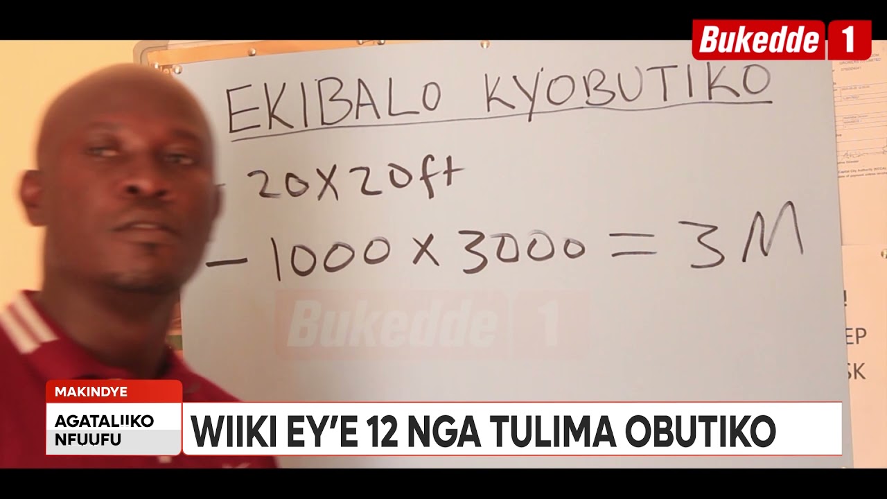 Agataliikonfuufu:  Ensigo: Wiiki eya 12 nga tulima obutiko.