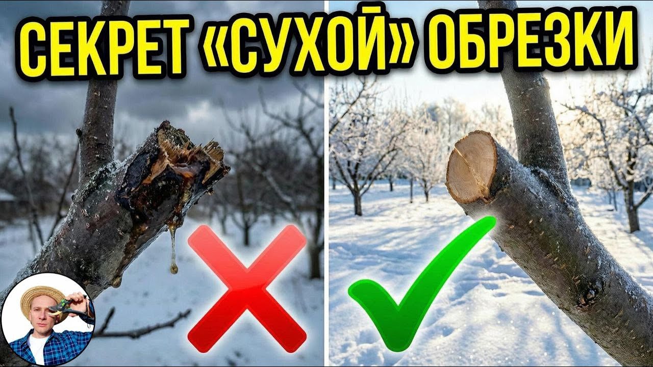 ЧЕМ ЗАМАЗАТЬ СРЕЗ В МОРОЗ? Секрет 