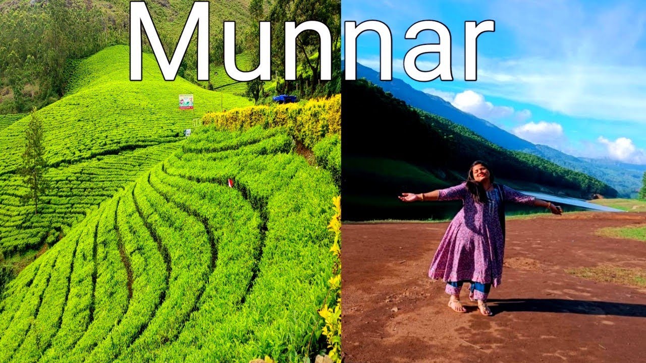 Munnar The Paradise On Earth | Munnar A Hill station In Kerala | Must Visit Place In Munnar