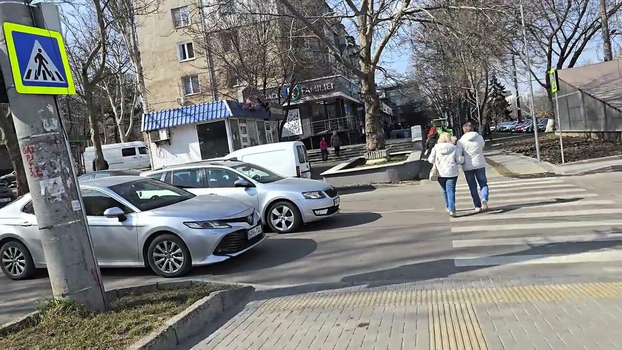 Кишинёв, Ботаника, бул.Дачия.16.03.2026