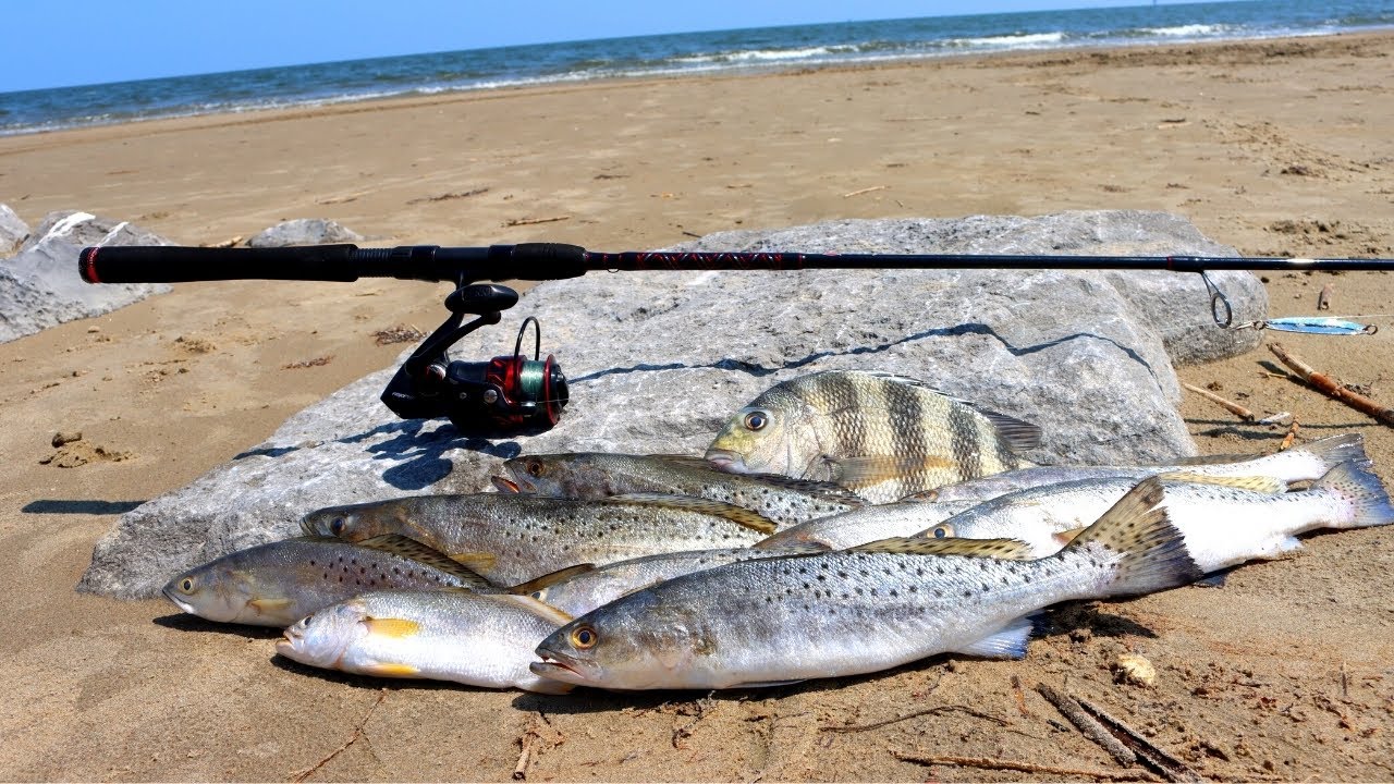 We Caught 7 Species in One Trip! (Fishing Vlog)