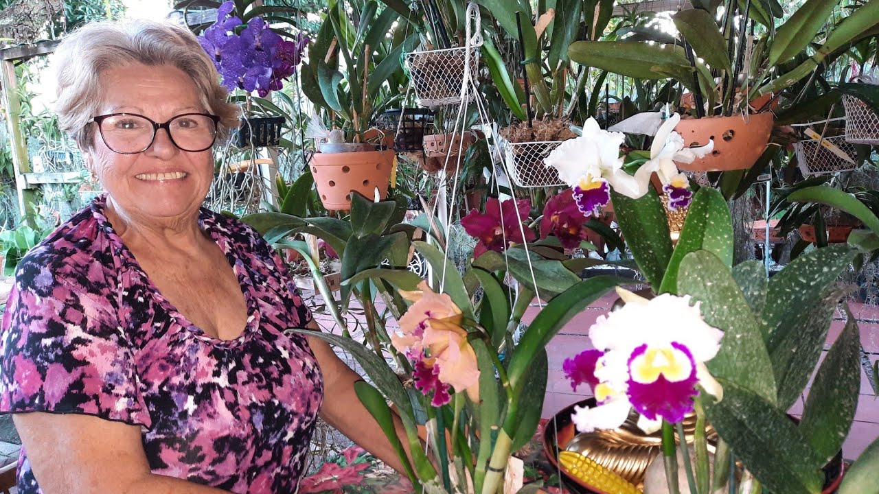 camine conmigo en mi Jardin de Orquídeas