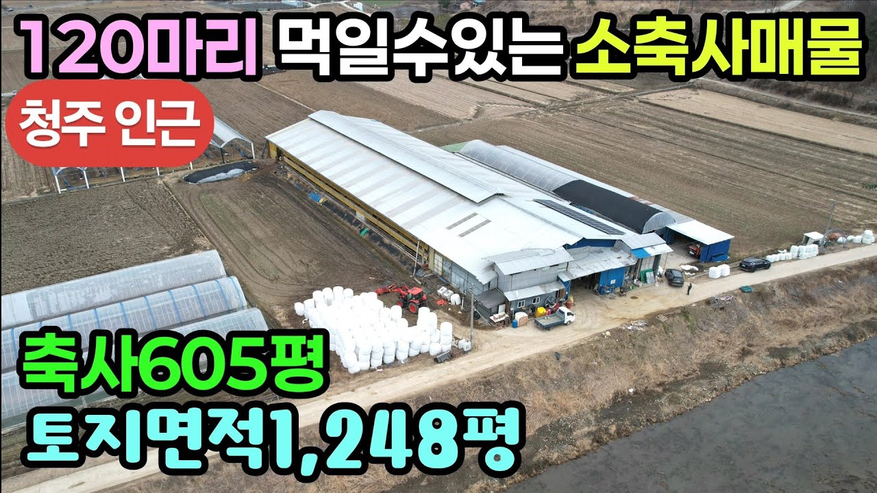 (801번)청주시인근 보은 내북면 소축사매물 축사부지와농지 1,248평 축사605평 4억7천만 귀농인,축산업 하시는분 강추!! #보은부동산 #충북보은축사 #충북우사매물