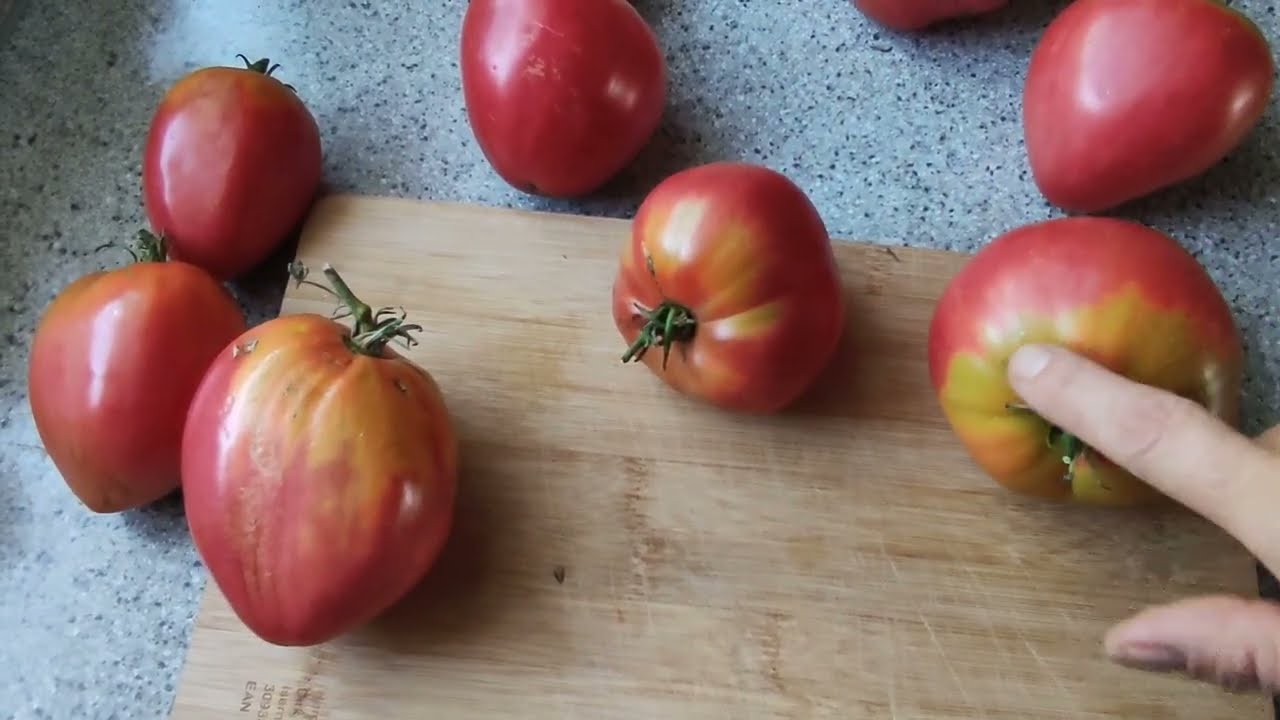 🍅Tomaten nach Sorten🍅Herztomaten Vergleich🍅die beste Tomate? 🍅Serbisches Herz/Adonis/Alsu/Vergleich