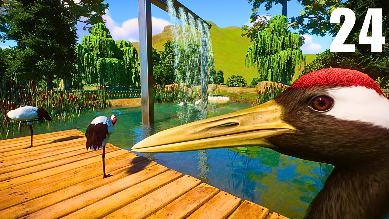 Making a Wetlands Habitat for the HUGE Red-Crowned Crane
