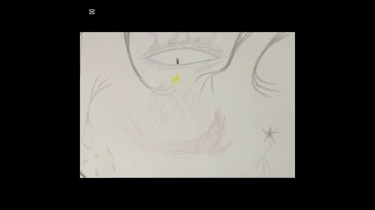 The Stars Forest ￼