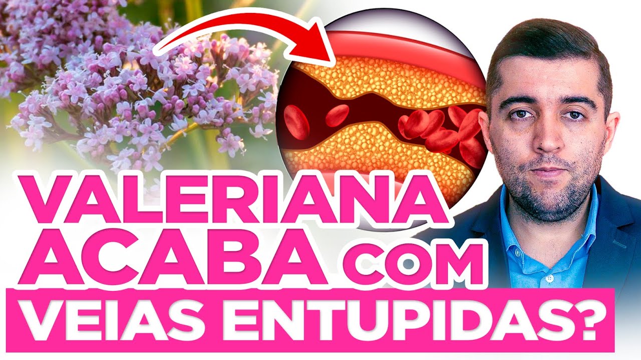Valeriana e seu uso milenar: quais efeitos contra má circulação, veias entupidas e trombose? Riscos?