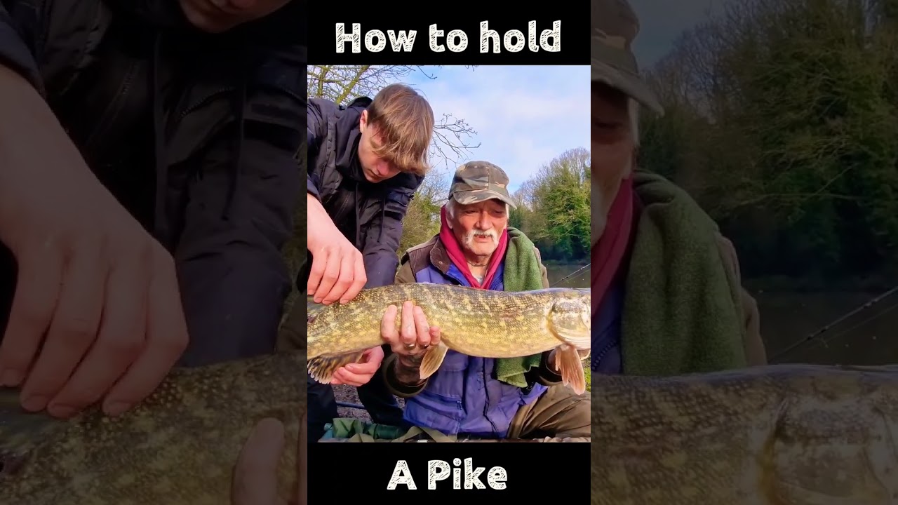 How to hold a Pike