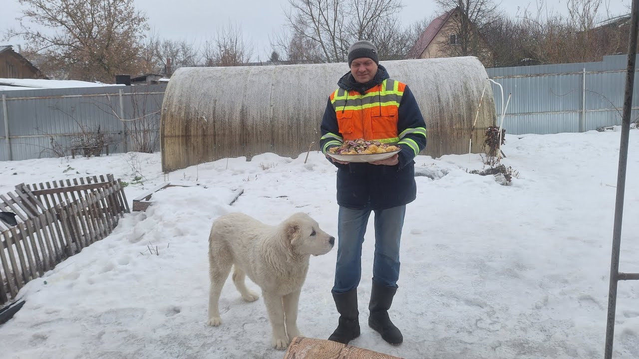 Казан кебаб с курицей и картошкой в казане