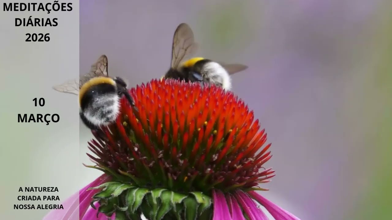 10.03 A NATUREZA CRIADA PARA NOSSA ALEGRIA: Meditações Diárias 2026-10 Março