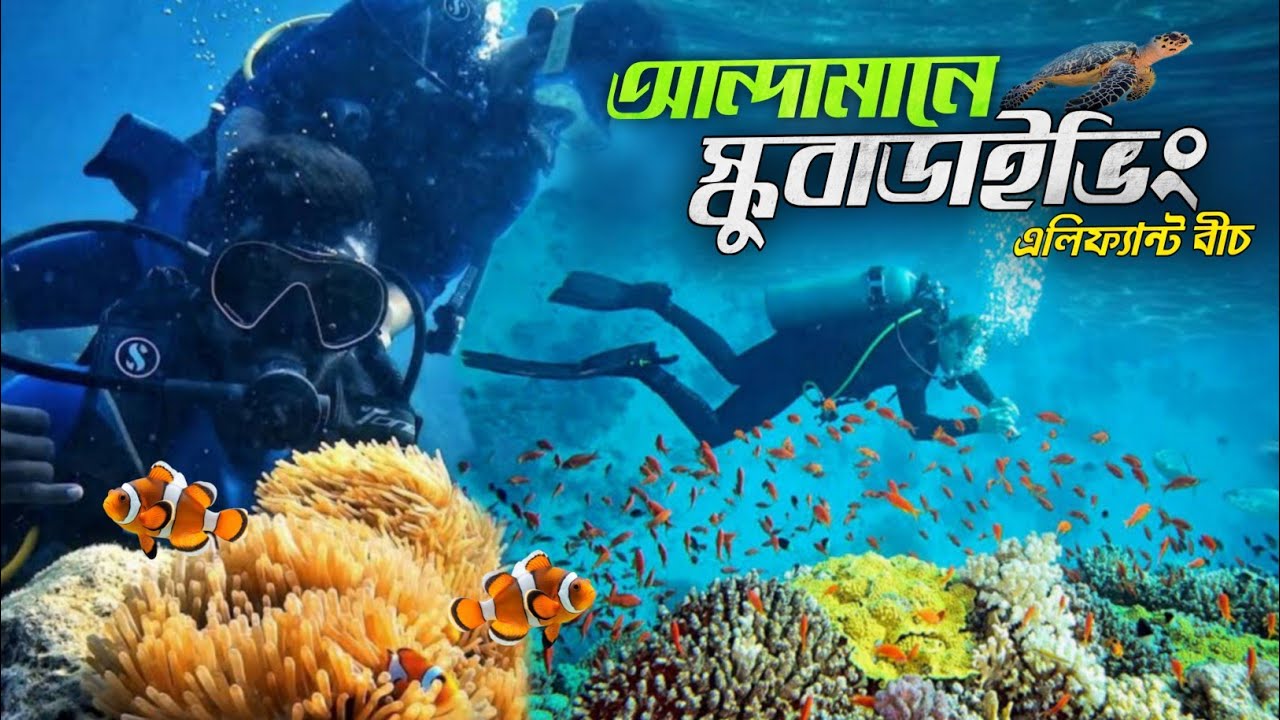 Andaman Scuba Diving | আন্দামানে স্কুবা ডাইভিং |  Elephant Beach | Havelock Island Water Activities