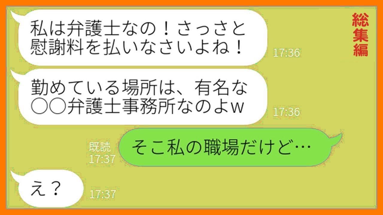 【LINE】弁護士のフリして私に高額の慰謝料を請求するボスママ「こっちには証拠があるのよ！」→弱そうな私を騙せると勘違いするDQNママ友にある衝撃の事実を伝えた結果w【総集編】【スカッとする話】