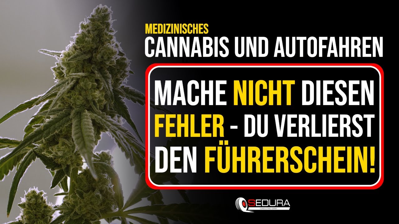 Polizeikontrolle als Cannabis-Patient? DAS solltest du NIEMALS sagen!