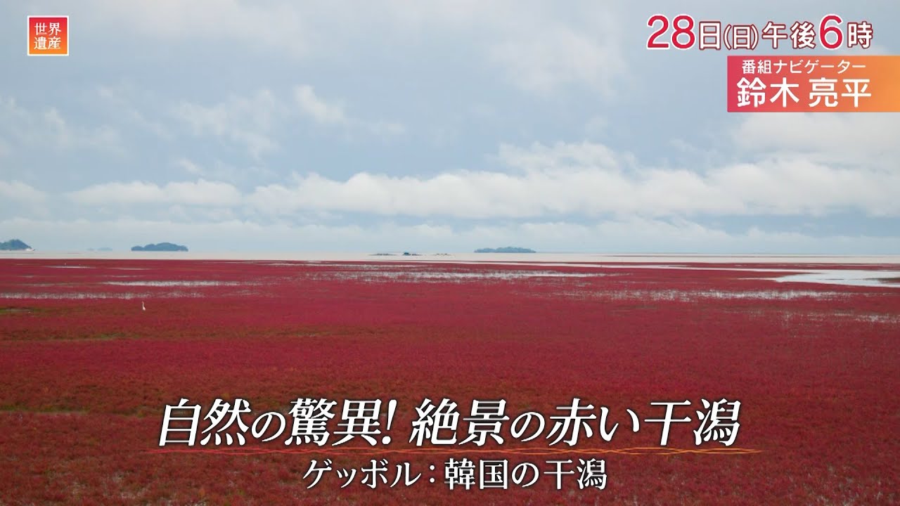 『世界遺産』4/28(日) ゲッボル：韓国の干潟 〜 自然の驚異！絶景の赤い干潟【TBS】