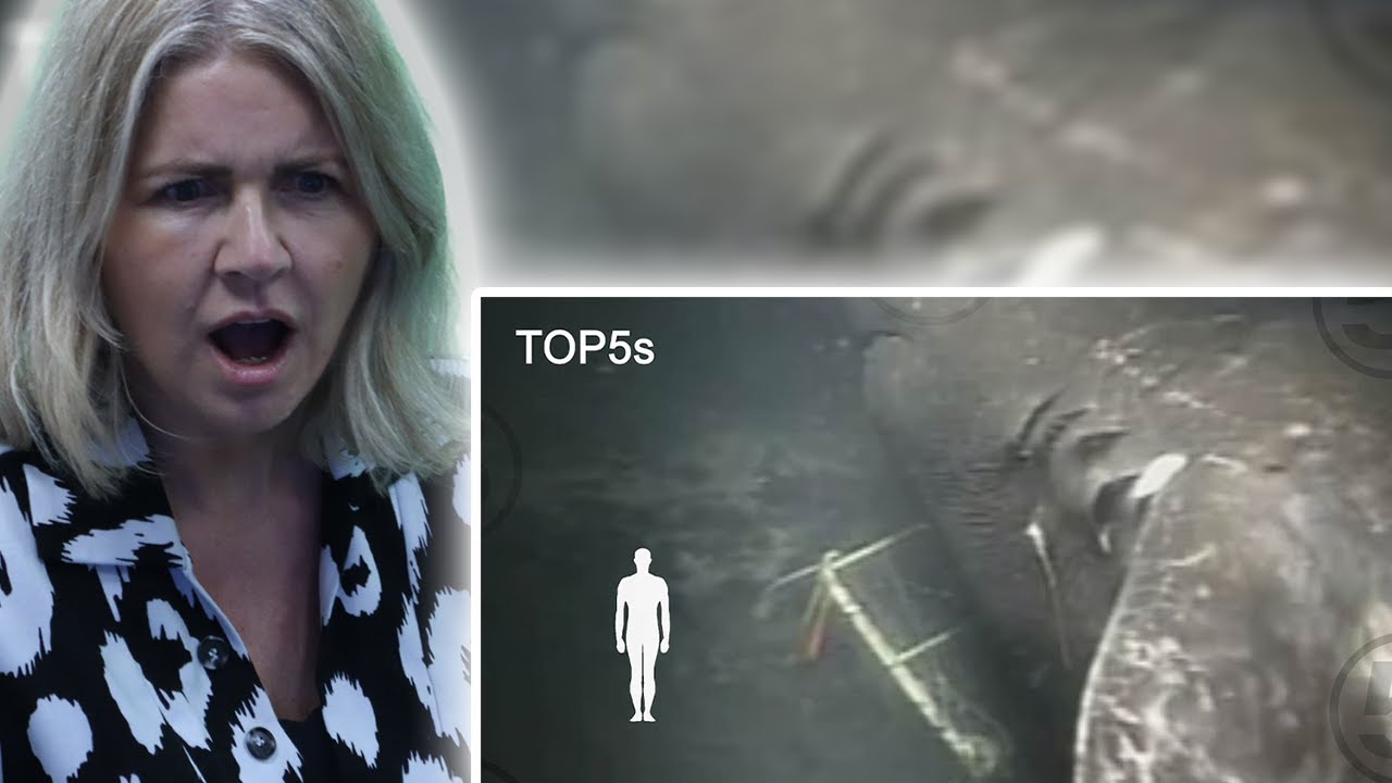 BRITS React to 5 Most Mysterious & Unexplained Sea Creatures