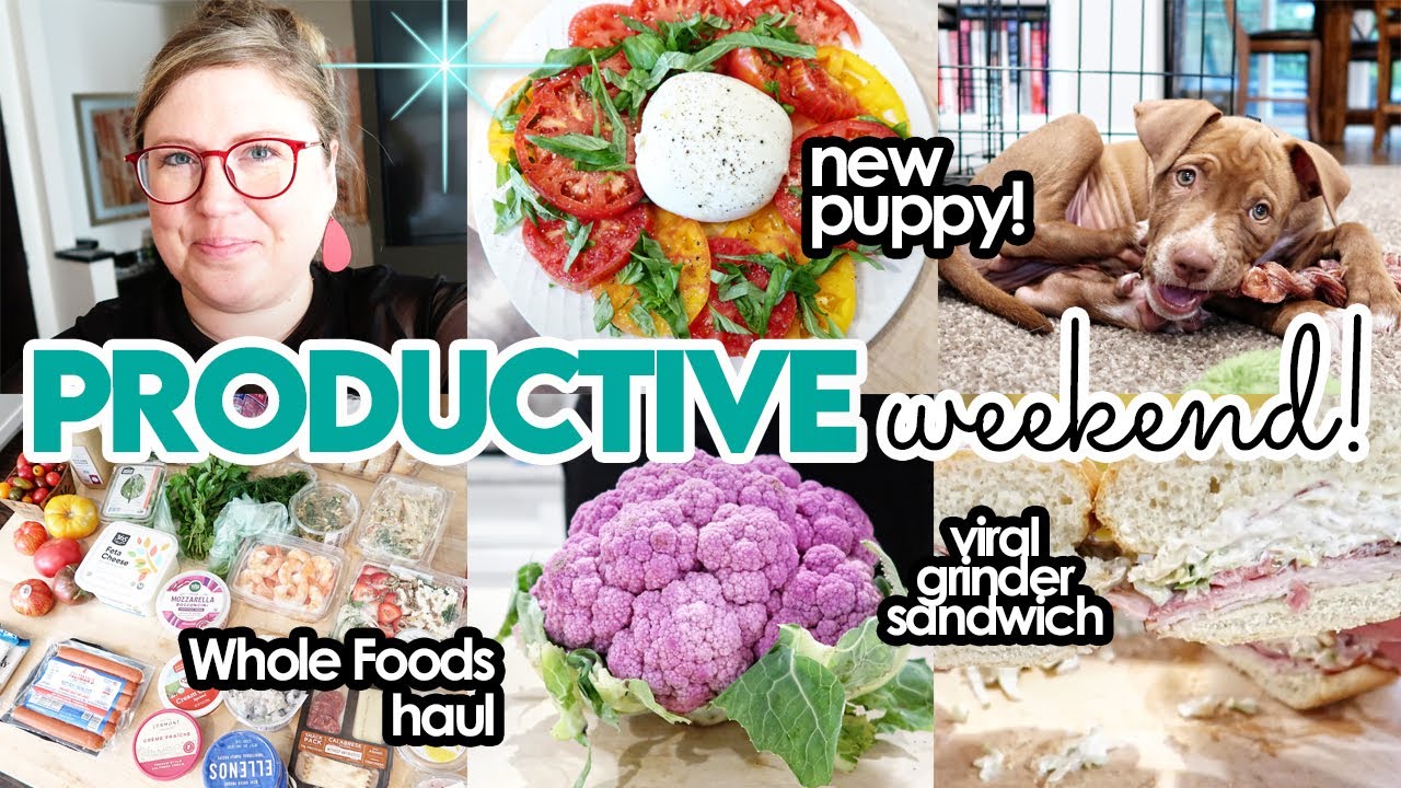 Productive Weekend Prep! 💥 New puppy, meal prep, Whole Foods haul @Jen Chapin