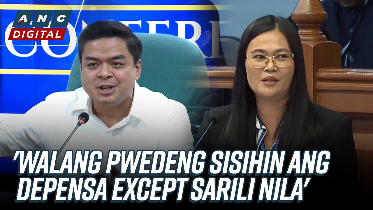'Do not gaslight the nation!': Ridon on Sison's complaint over Ligutan's post | ANC
