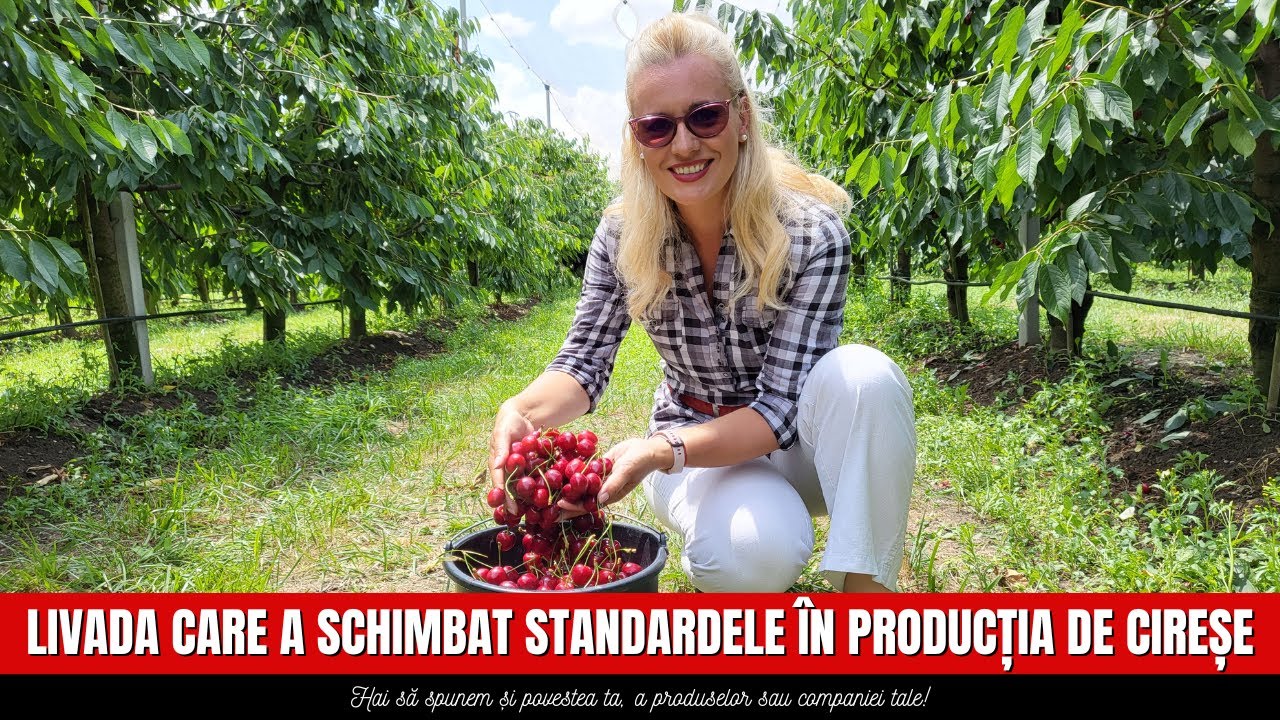 Livada care a schimbat standardele în producția de cireșe / ROMÂNIA VĂZUTĂ DIN TRACTOR