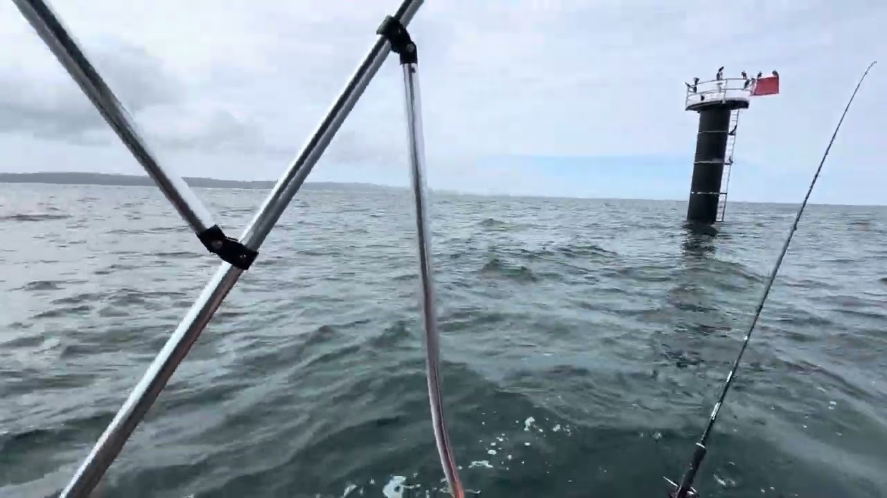 Garmin Force Kraken on the Stabicraft 1450